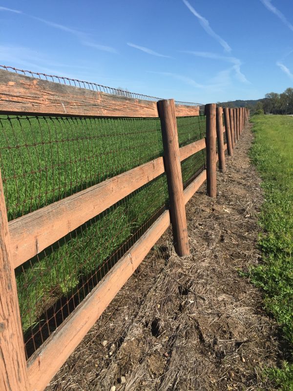 Ranch Fence Replacement